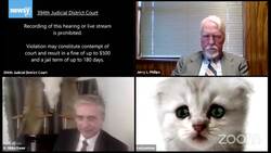 Texas Lawyer's Zoom Call Mishap Goes Viral News Clip