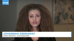 Afghanistan Says It Killed Key Al-Queda Leader News Clip