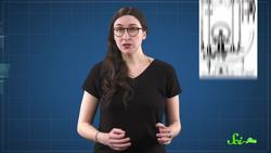 There's a Loophole in One of the Most Important Laws of Physics Instructional Video