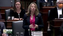 Protest prompts Ontario legislature to recess, after 2nd NDP attempt to end keffiyeh ban fails News Clip