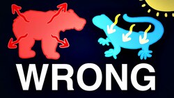 There’s No Such Thing As “Warm-” Or “Cold-” Blooded Instructional Video