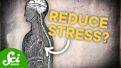 What Does The Vagus Nerve ACTUALLY Do? Instructional Video