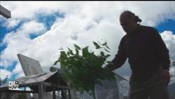 The science of using your expectations to relieve pain News Clip