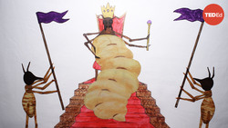 TED-Ed: Coneheads, egg stacks and anteater attacks: The reign of a termite queen | Barbara Thorne Instructional Video