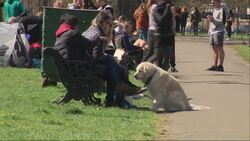 People playing volleyball on Clapham Common News Clip