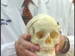 The Human Body Musculoskeletal - The Skull Instructional Video