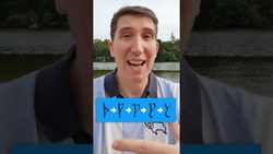 The Lost Letter: The Story of Thorn in the English Language Instructional Video