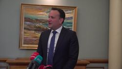 Leo Varadkar: Government 'got it wrong' over the referenda News Clip