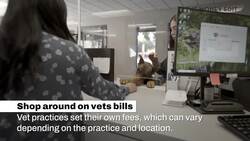 How To Save Money On Looking After Your Puppy I The Money Edit Instructional Video