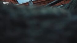 AP Investigation: No Oversight Of Priests And Clergy Accused Of Abuse News Clip