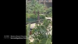 Canadians killed in Mexico over gang debt, prosecutors say News Clip