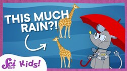 The Rainiest Places on Earth | SciShow Kids Instructional Video