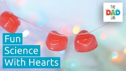 Science Experiment: Ice Hearts Instructional Video