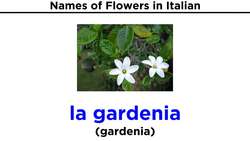 Italian Vocabulary: Flowers and Trees Instructional Video