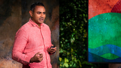 TED: Mangroves, storm walls and other ways to protect coasts from climate change | Dave Sivaprasad Instructional Video