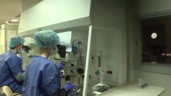 CLEAN : STOCKSHOTS of medically assisted reproduction News Clip