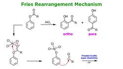 Fries Rearrangement Instructional Video