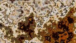 Moving random psychedelic wavy texture. Stock Footage