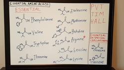 Essential Amino Acids | Mnemonic and Easy Way to Remember Instructional Video