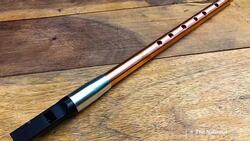 #TheMoment an Irish camper went up against a bear and fainted News Clip