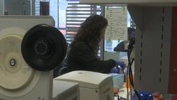 Bacteria rewired to live off CO2 News Clip