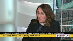 What role would a Canadian 'fentanyl czar' play in border security? Instructional Video