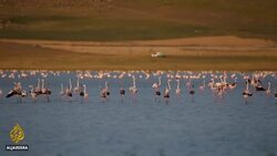 Turkey's Lake Akgol dries up News Clip