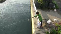 Fishermen Fishing For Pink Salmon At The Sea Of Okhotsk In Hokkaido, Japan Stock Footage