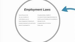Introduction to Employment and Labor Laws Instructional Video