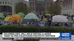 Columbia University goes virtual as pro-Palestinian protests continue News Clip