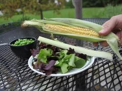 Our Precious Earth: Video Review Instructional Video