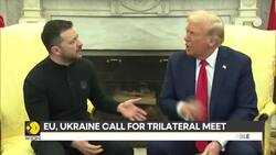 Trump-Zelensky meet: can EU, Ukraine bargain with Trump ? News Clip