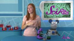 How Phytoplankton Make the World Go Round Instructional Video