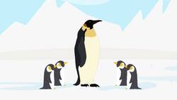 High Five Facts - Antarctica Instructional Video