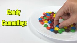 Candy Camouflage Instructional Video