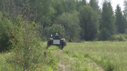 CLEAN : 'Our homeland is burning': Volunteers join Siberia wildfire fight News Clip