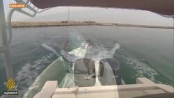 Dugong discovery: Large population found off Qatar News Clip