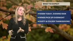 Thanksgiving turns cold and breezy for Brooklyn News Clip
