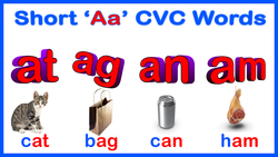 Learn to Short A CVC Words: Letter A Blending with Simple Sentences Instructional Video