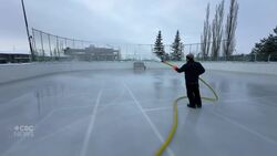 Edmonton begins December with a swing to warmer temperatures News Clip