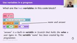 Program variables Instructional Video