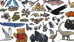 Why do Bats Transmit So Many Diseases Like Ebola? Instructional Video