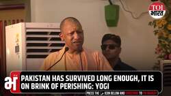 'Pakistan Has Survived Long Enough, It Will Perish Soon': Yogi Adityanath Fires Fresh Salvo News Clip