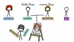 Is It Safe To Get Your DNA Tested? Instructional Video