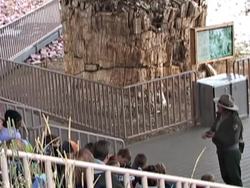 Listening and Speaking in Science: Active Listening Instructional Video