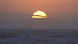 Biome Instructional Video