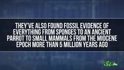 What's at the Bottom of the Deepest Lake in the World Instructional Video