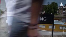 Swan Upping, The Queen's Tradition of Protecting Swans on the Thames Instructional Video