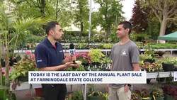 Plant lovers flock to Farmingdale State College for annual plant sale News Clip