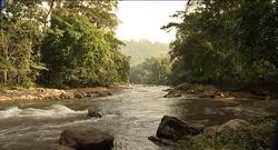 An Injection of Hope: The Challenges of Vaccination in Developing Countries Instructional Video